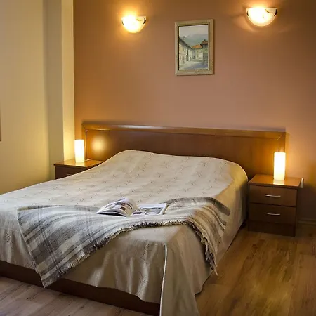 Hotel Bizev 3*