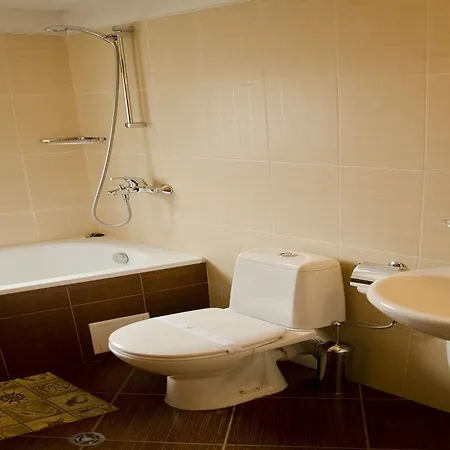 Hotel Bizev 3*