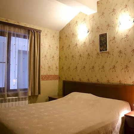 Отель Bizev
