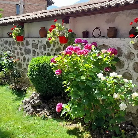 Отель Bizev Банско