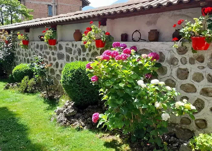 Ξενοδοχείο Bizev Μπάνσκο