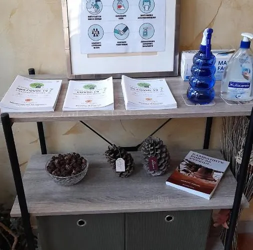 Ξενοδοχείο Bizev Μπάνσκο