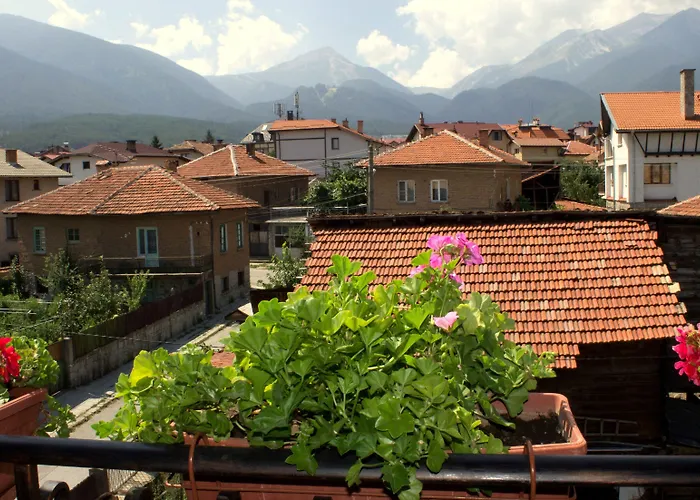 Ξενοδοχείο Bizev 3*