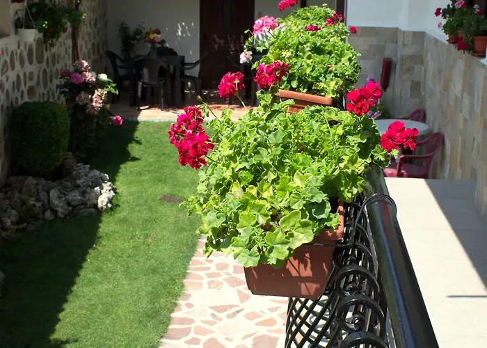 Ξενοδοχείο Bizev Μπάνσκο